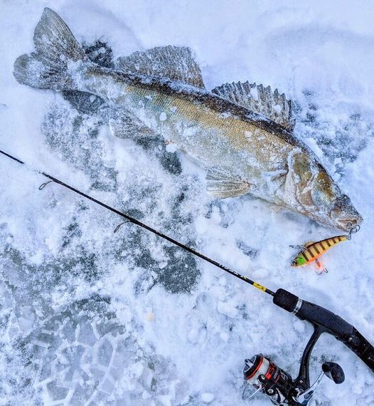 Воблер тонущий вертикальный LJ Pro Series BASARA VIB S 80.00/146