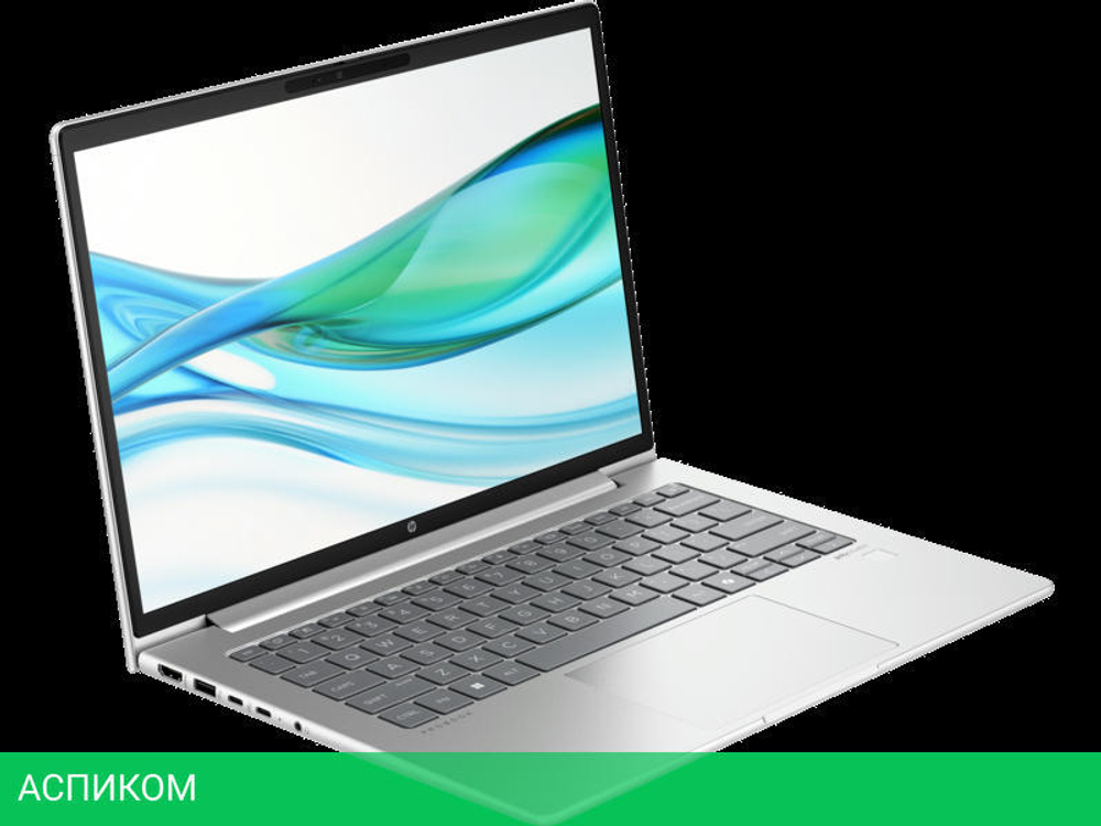 Ноутбук HP Probook 445 G11 Silver (8Z9P6AV)