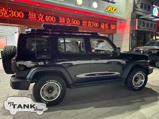 TANK 300 Боковая лесенка MEIKA (GT41) для багажника MEIKA (GS1)