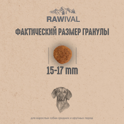Сухой корм RAWIVAL для собак средних и крупных пород с ягненком и перепелом - 0,75 кг