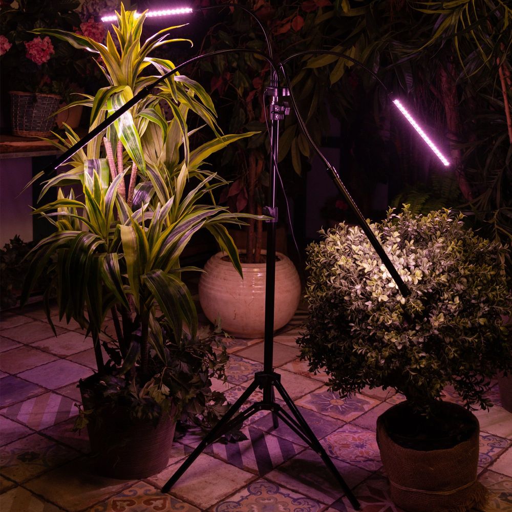 ULT-P32-36W-SPLE-TM-40 IP40 BLACK QUAD Светильник для растений светодиодный с таймером. на штативе. Спектр для фотосинтеза. TM Uniel