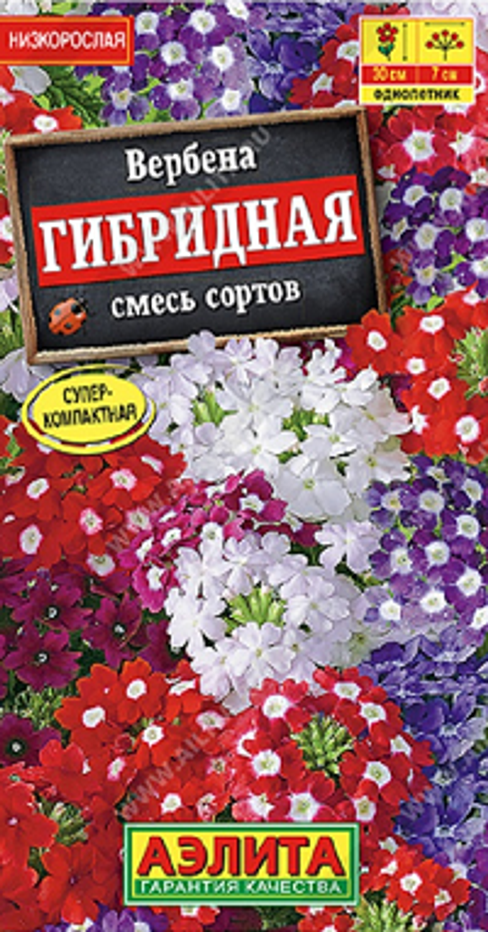 Вербена гибридная, смесь сортов