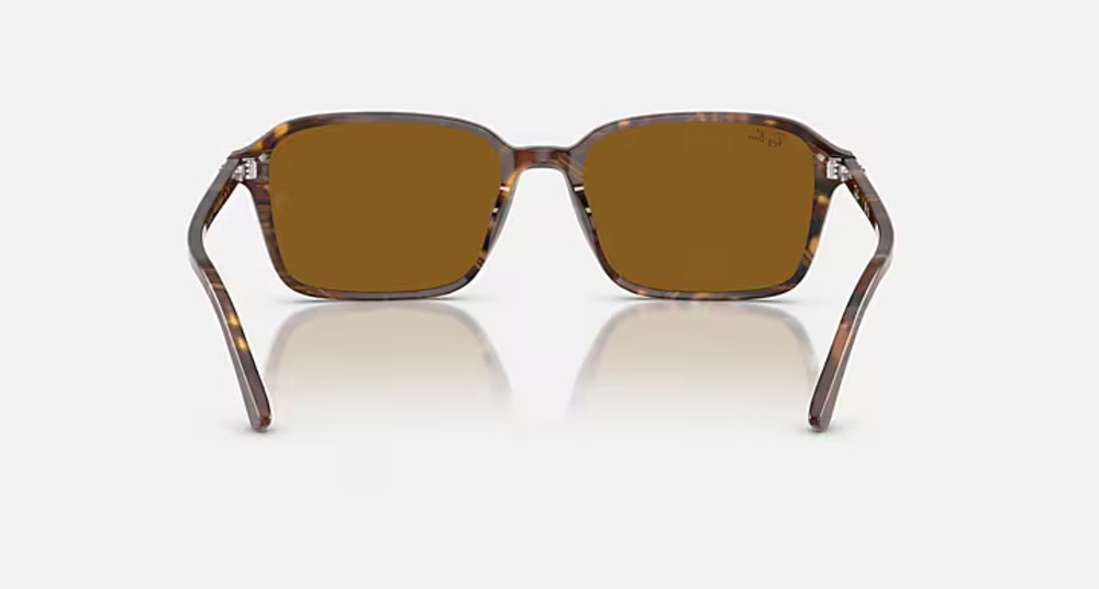 RAY-BAN RAIMOND RB2231 141833