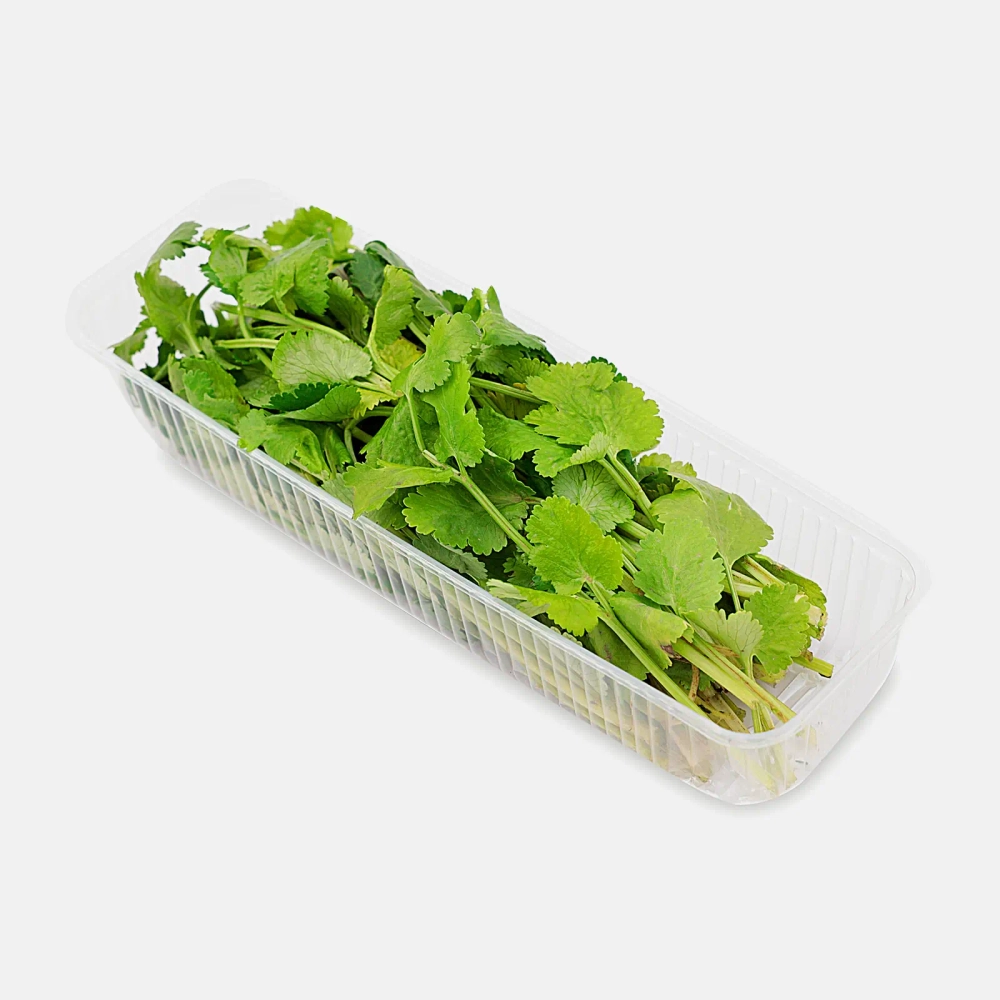 Кинза М Свежесть 50г