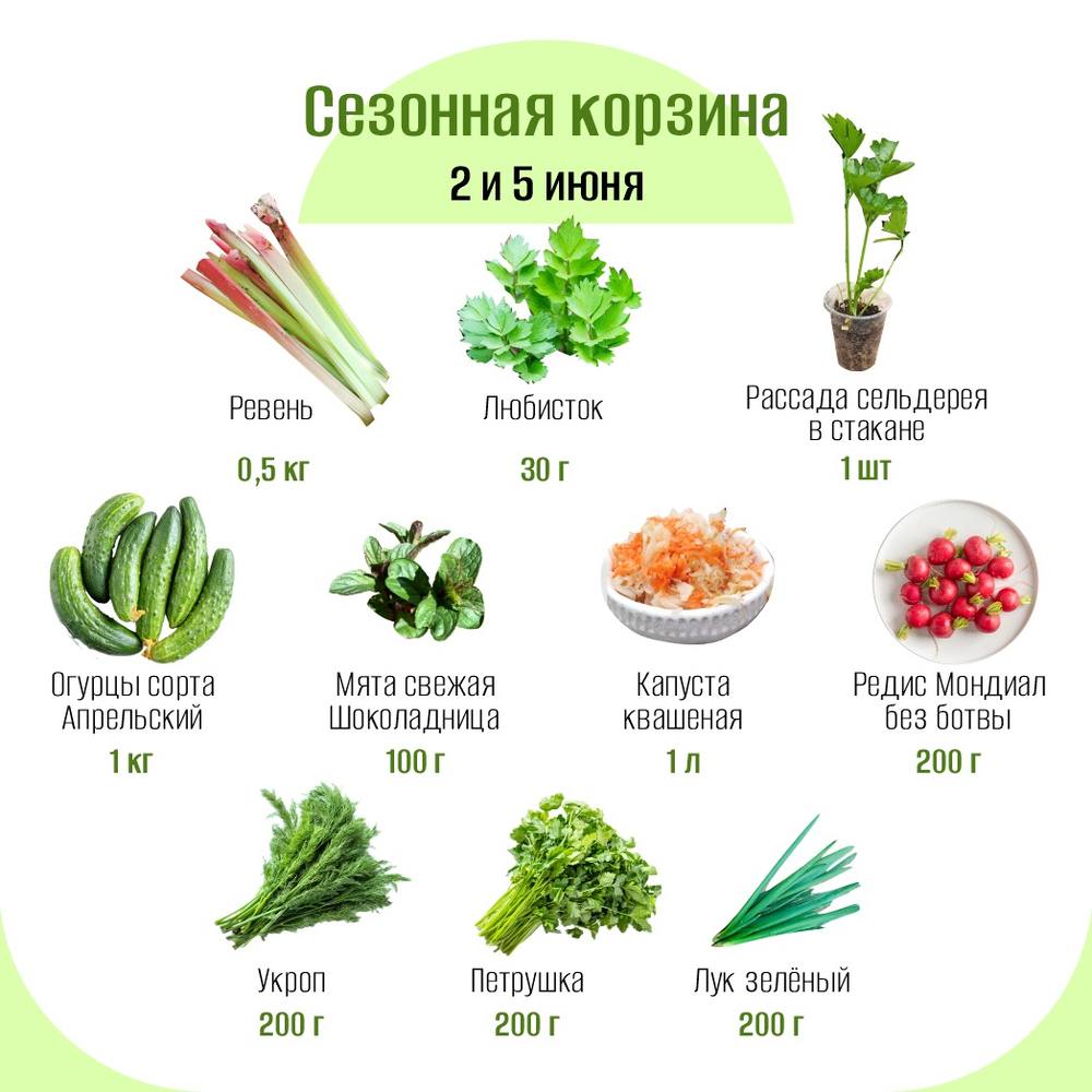 Сезонная корзина