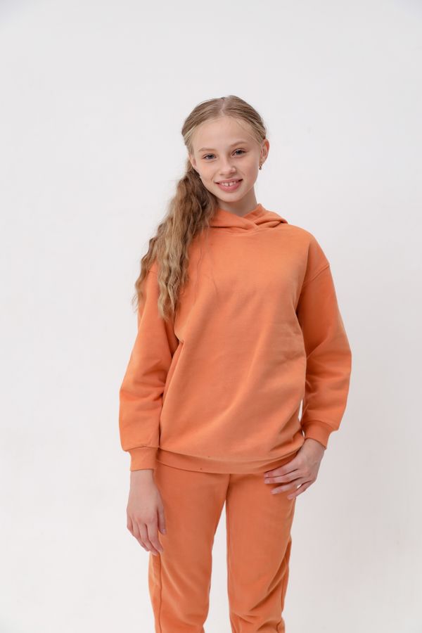 Худи дл/р с капюш. д/д DELORAS 21533