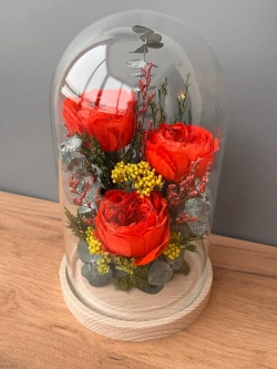 натуральные пионы в колбе