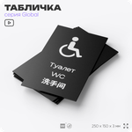 Табличка Туалет, на дверь и стену, информационная и мультиязычная (русский, английский, китайский), серия GLOBAL, 25х15 см, Айдентика Технолоджи
