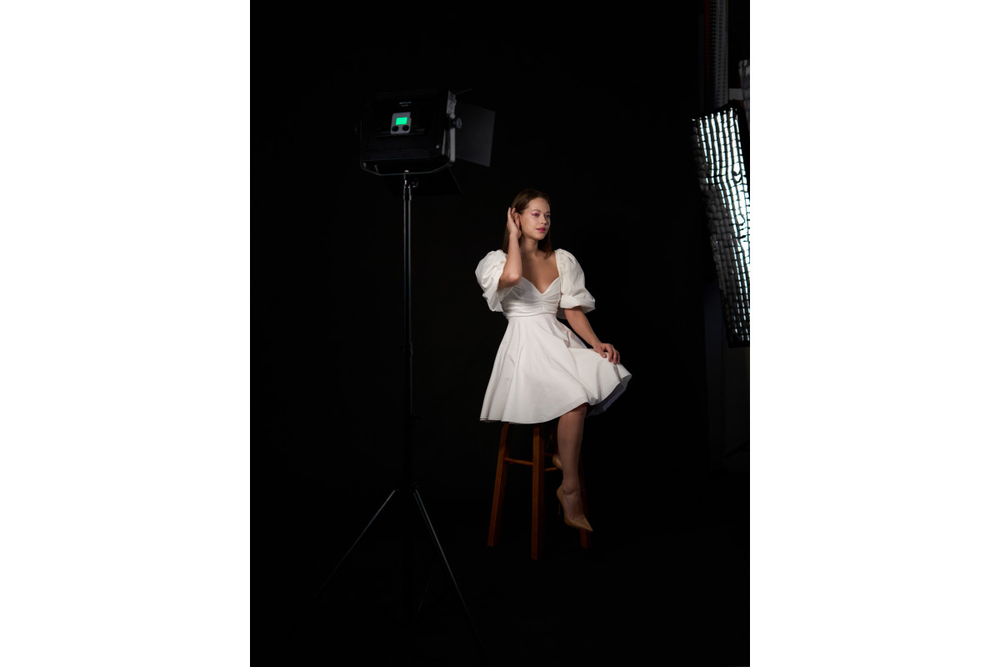 Осветитель светодиодный Raylab RL-50 88 3200-6500K