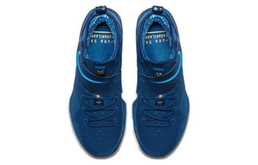 Кроссовки Nike Lebron 14 Agimat