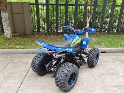 Квадроцикл YACOTA TYPHOON 250 бензин