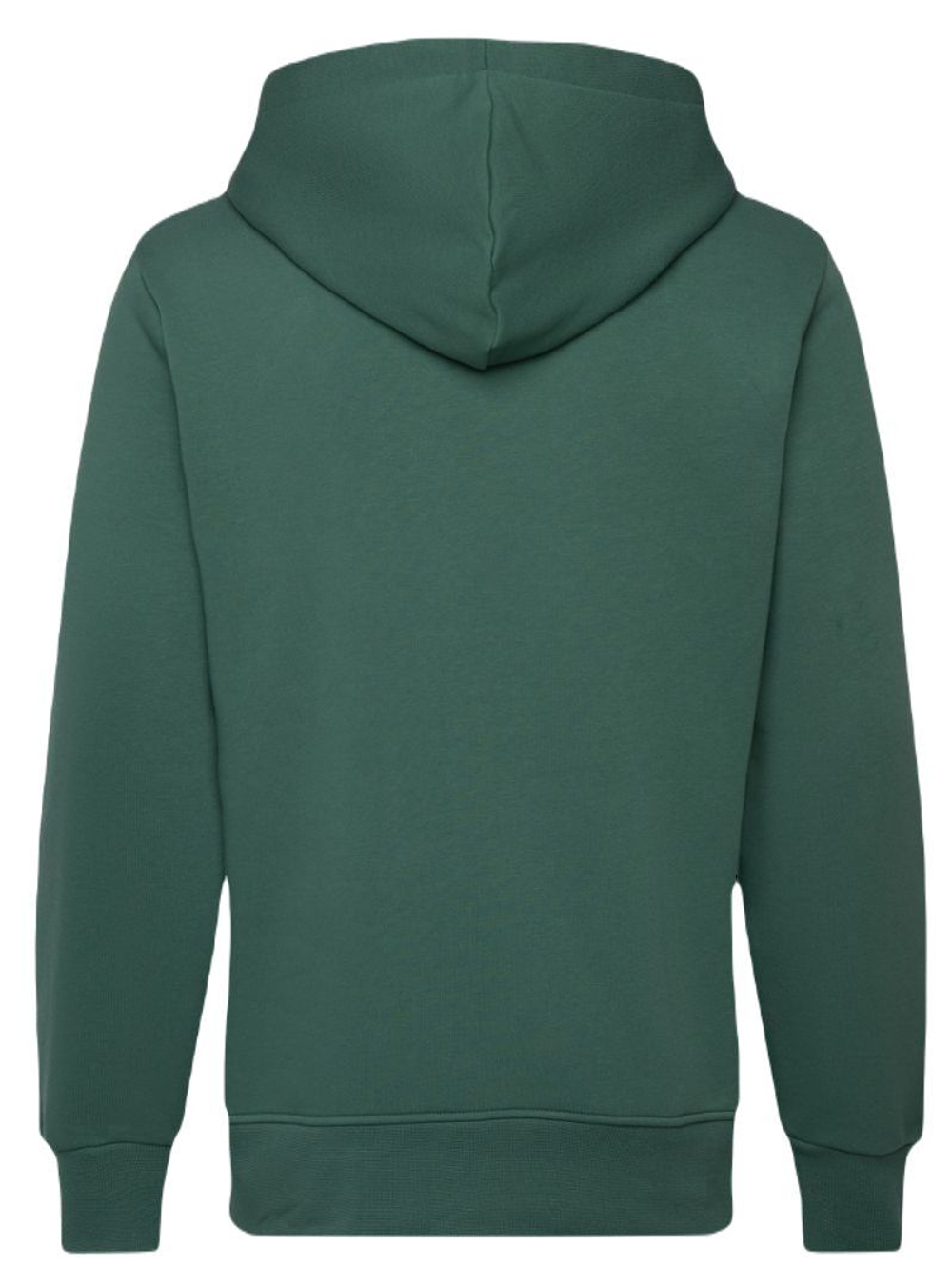 Мужская теннисная кофта Björn Borg Essential 1 - зеленый