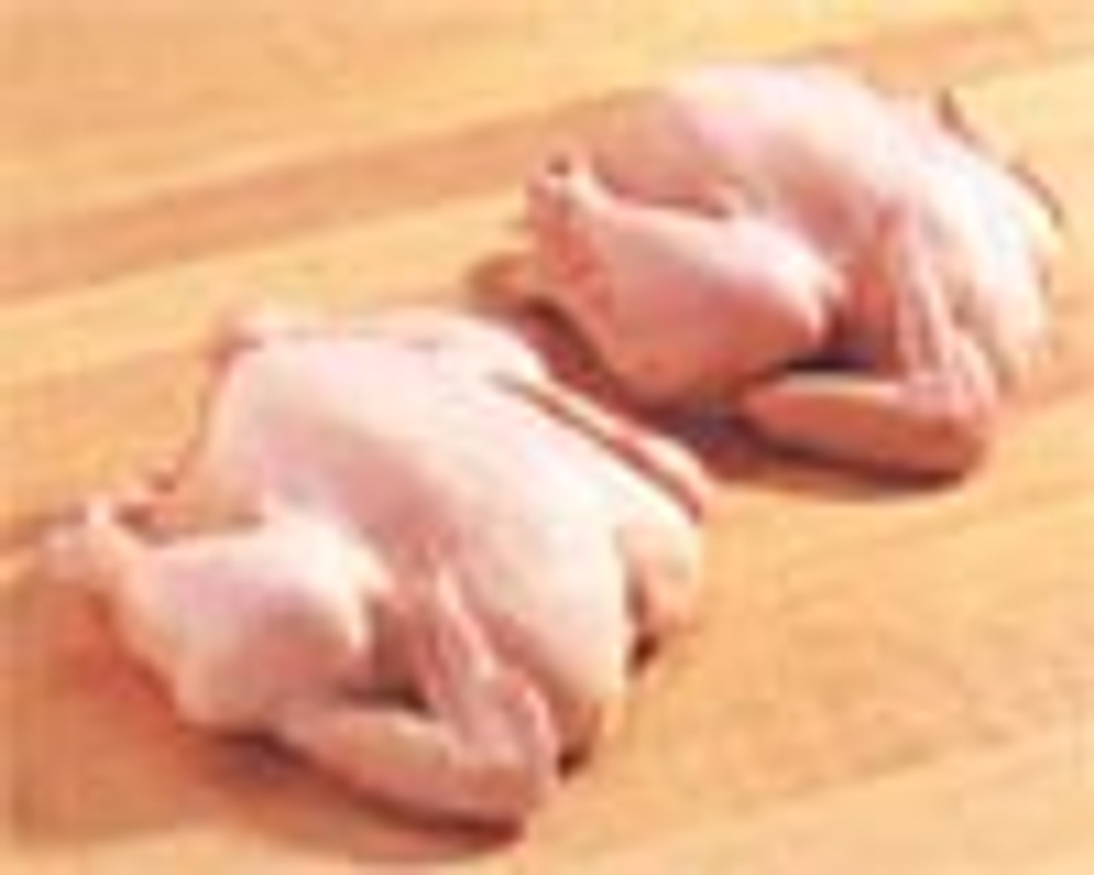 Мясо курицы - Курочки "корниш" (Cornish Hens)