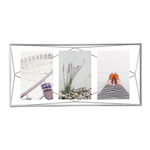 Мультирамка Prisma хром