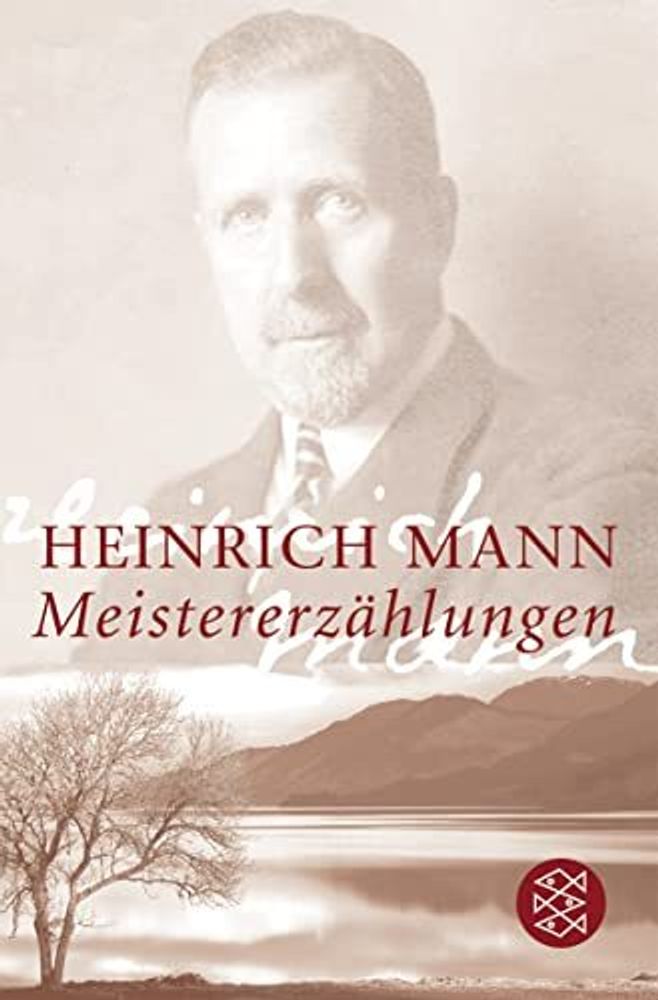Meistererzaehlungen von Mann Heinrich