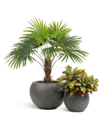 Кашпо TREEZ Effectory - Stone - Большая полусфера - Тёмно-серый камень