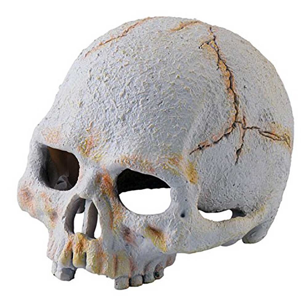 Hagen Exo Terra Primate Skull Small - декорация &quot;Череп примата малый&quot;