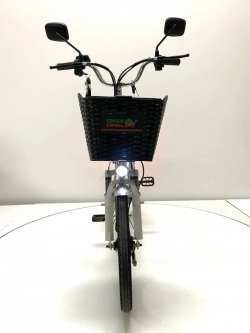 Электровелосипед Green Camel Транк 20 V8 40км