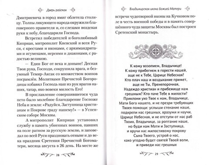 Дверь райская. Рассказы о чудотворных иконах Пресвятой Богородицы. Валентина Карпицкая