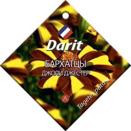 Бархатцы отклоненные Джоли Джестер, семена Дарит 0,3г (300)