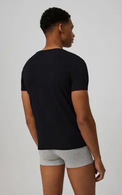 20102 Футболка мужская