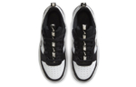 Женские кроссовки Nike Court Borough Low 2 'Black White Silver' CT3964-100