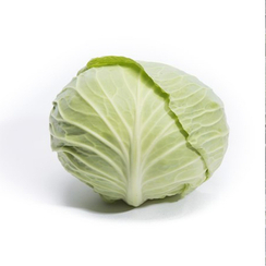 Вертекс F1 семена капусты белокочанной (Takii / Таки)