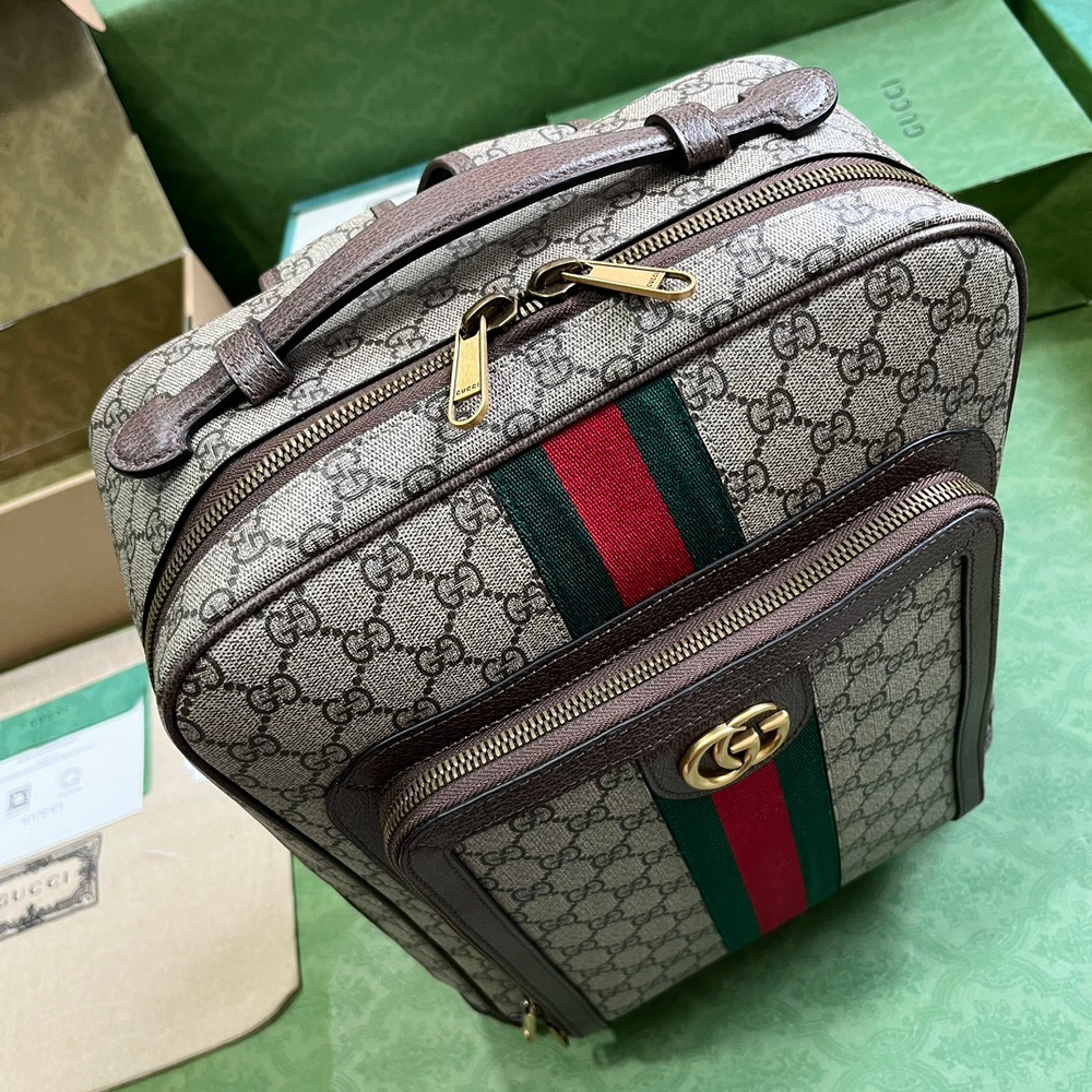 Gucci Ophidia GG Backpack 40 cm