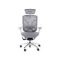 GTChair Dvary X grey