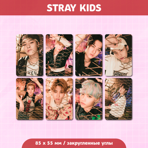 Сет карточек / STRAY KIDS #216