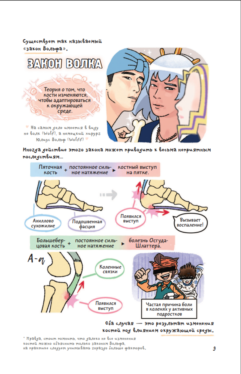 Книга Еще более наглядная анатомия