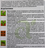 Кабачок Бабье Счастье 2 г СМКАБ-19