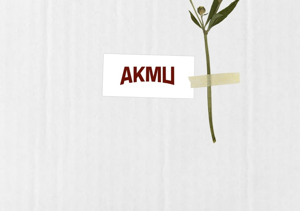 (ПРЕДЗАКАЗ) Альбом AKMU - FLOWERING 4th Album LP