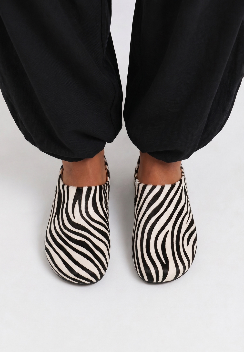 mule zebra noire