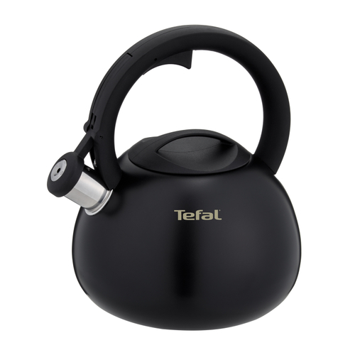 Чайник для плиты Tefal Kettle ss induction  2,7 л K2481574