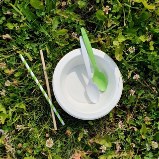 БИО Миска 450мл. одн. сахарный тростник/6шт