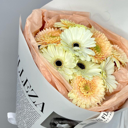 Букет из нежных гербер 9 шт