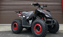 Квадроцикл PROMAX SPORT 180