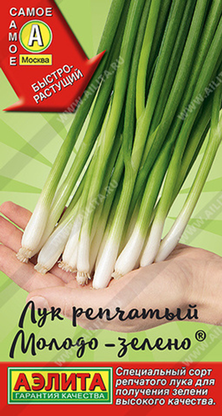 Лук на зелень Молодо-зелено Аэлита