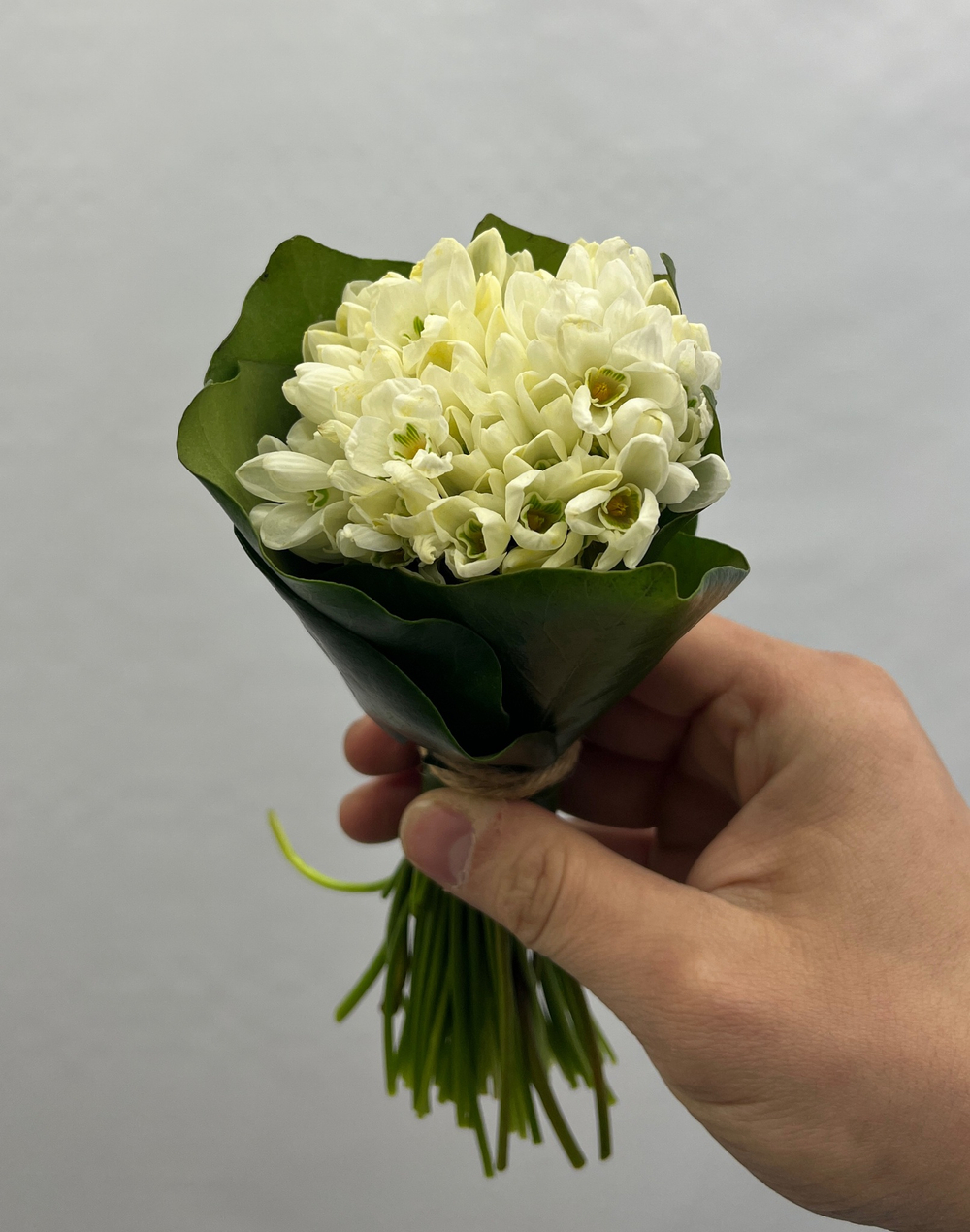 подснежники