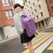 Çanta \ Bag \ Рюкзак БРАУБЕРГ, 46*31*18см, 225516