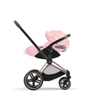 Cybex Priam IV Simply Flowers (3 в 1)
