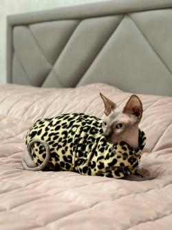 Одежда свитер для сфинксов кошек