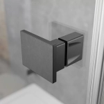 Душевая дверь Radaway Essenza Pro Brushed Nickel DWJ 120 стекло прозрачное/профиль брашированная оружейная сталь