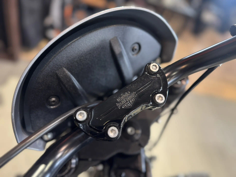 Harley-Davidson Low Rider S 2019