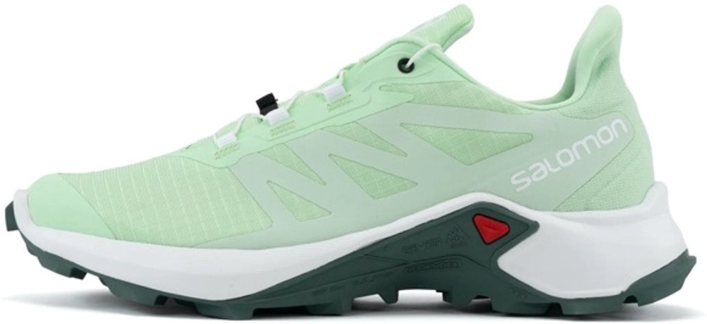 Intersport salomon xa pro 3d gtx 2025