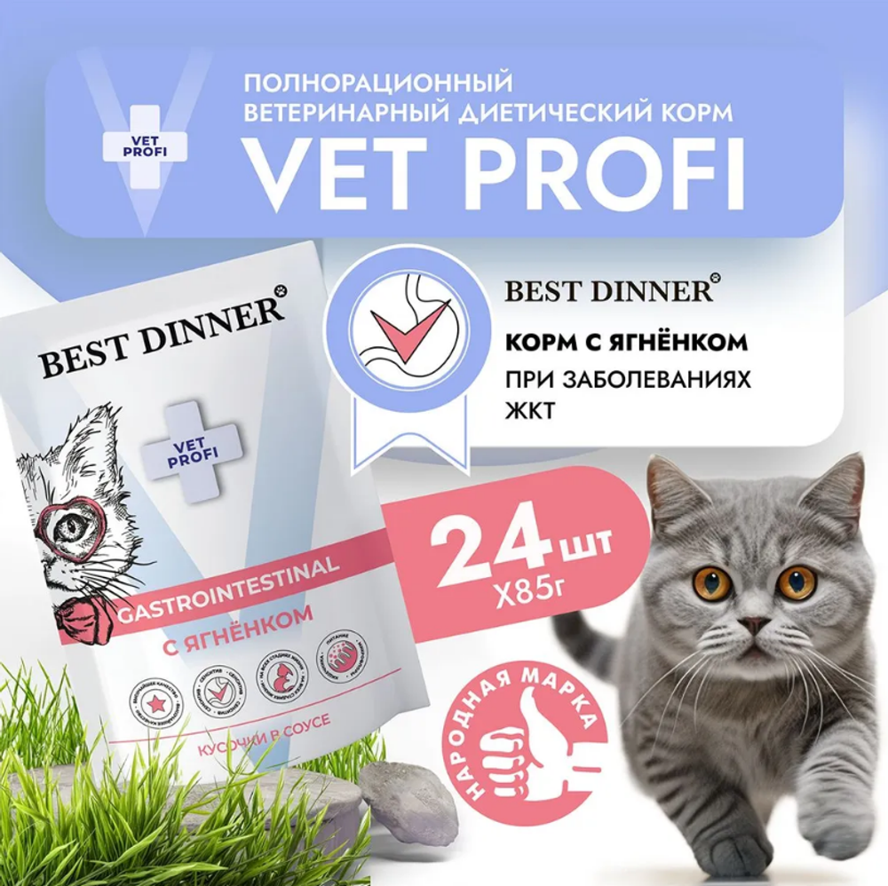 Корм влажный для кошек пауч Best Dinner Vet Profi Gastro Intestinal 0,085кг ягненок кусочки в соусе (при заболеваниях ЖКТ). 24 упаковки