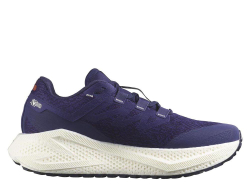 Кроссовки для бега мужские Salomon Aero Glide 3 GRVL M Фиолетовые