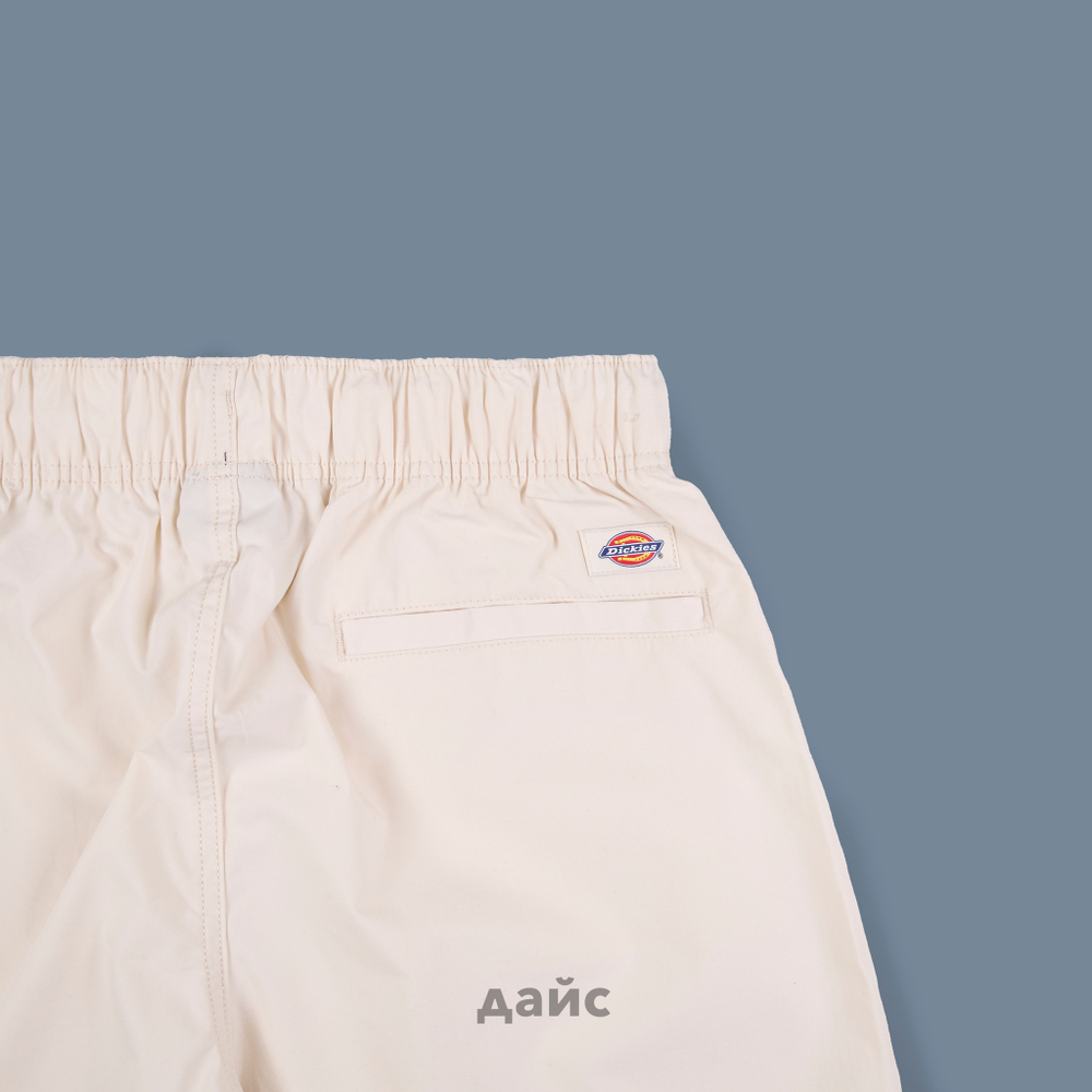 Брюки мужские Dickies Fishersville Pant