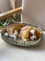 Собака Perfect Petzzz